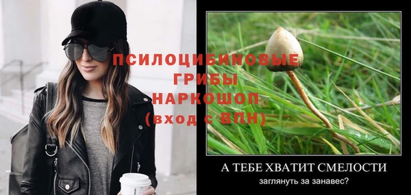 Альфа ПВП Абдулино