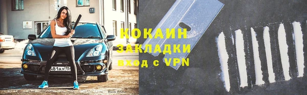 гидра Заводоуковск