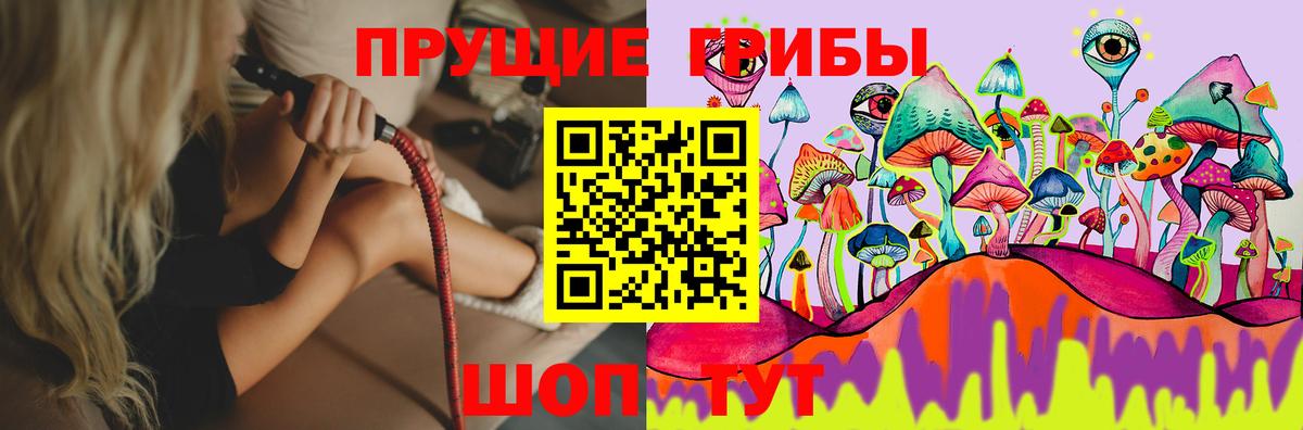 Норильск  Псилоцибиновые грибы Psilocybe  Вход с VPN  Галлюциногенные грибы ЛСД 