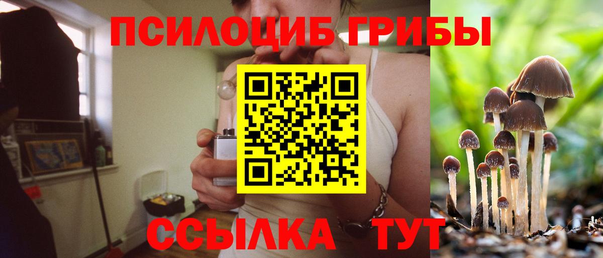 Галлюциногенные грибы Psilocybe  Галлюциногенные грибы GOLDEN TEACHER  Норильск  Вход с VPN 